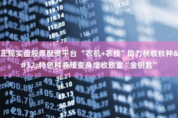 正规实盘股票配资平台 “农机+农技”助力秋收秋种 特色种养殖变身增收致富“金钥匙”