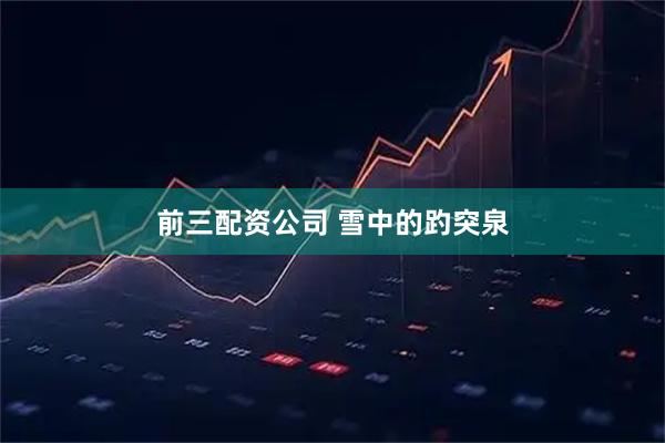 前三配资公司 雪中的趵突泉