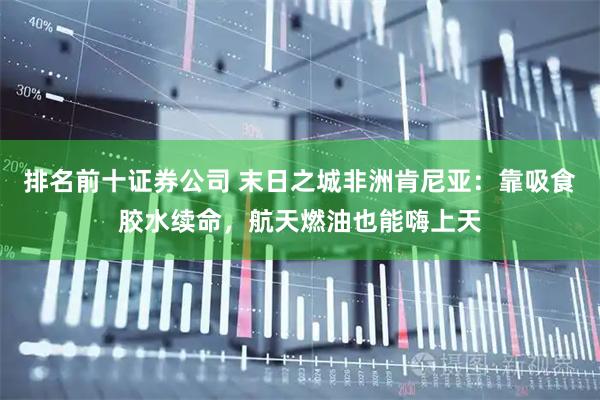 排名前十证券公司 末日之城非洲肯尼亚：靠吸食胶水续命，航天燃油也能嗨上天