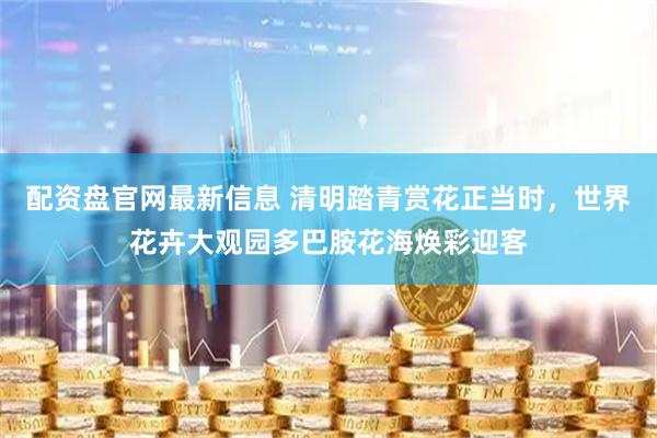 配资盘官网最新信息 清明踏青赏花正当时，世界花卉大观园多巴胺花海焕彩迎客