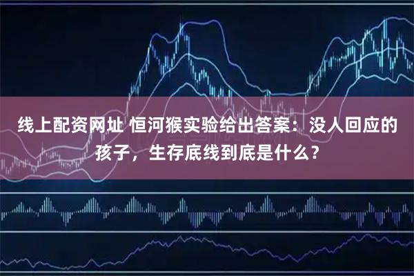 线上配资网址 恒河猴实验给出答案：没人回应的孩子，生存底线到底是什么？